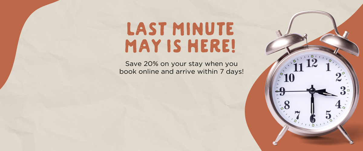 Last Minute May